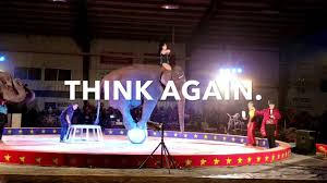 Code is valid for all locations and tickets. Loomis Bros Circus Cruelty Youtube