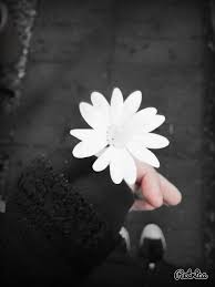 Black And White Artsy Aesthetic Profile Pictures Aesthetic Black And White Flower Girl Goth Image 4012026 By Tschissl On Favim Com Pinterest Wi Black And White Aesthetic Black Aesthetic White Aesthetic