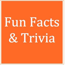 So, we thought we'd compile a list of a few more interesting trivia facts. Fun Facts Trivia Funfactstrivia1 Twitter