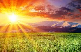 Image result for nắng