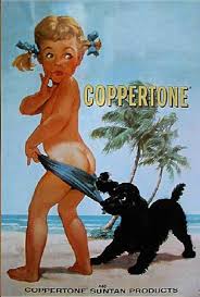 Image result for Light Coppertone 1983 Philco