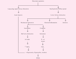 Meconium Aspiration Syndrome An Insight Sciencedirect