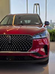 Image result for Red Carpet 2020 Aviator