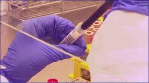 The delta coronavirus variant doubles the risk of hospitalisation compared with the previously dominant variant in the united kingdom, but two doses of vaccine still provide strong protection, a. Delta Covid 19 Variant Cases Are Rising Prompting Caution On Reopening Plans National Globalnews Ca