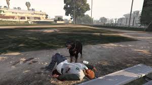 Gta V Serbest Mod Kopek Olmak Bolum 10 Youtube
