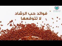 فوائد حب الرشاد حب الرشاد للحمل حب الرشاد للجنس حب الرشاد للشعر حب الرشاد للعظام اضرار حب الرشاد طريقة استخدام حب الرشاد food health womens health
