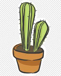 Si seguimos esta línea, los cactus que tienen esa característica modificaron sus hojas en forma de espinas para tener menos superficie y no perder agua ya que. Cactaceas Planta Suculenta Iman De Flor Cactus Decorativo Pintado A Mano Pintura De Acuarela Floral Png Pngegg