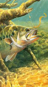 Tons of awesome fishing wallpapers to download for free. Sports Fishing Wallpaper Zip File Sports Fishing 720x1280 Wallpaper Id 88093 Mobile Abyss Musicdelays