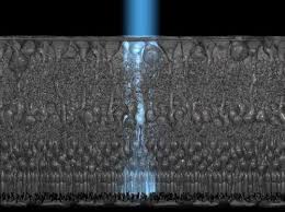Fiber Optic Light Pipes In The Retina Do Much More Than Simple Image Transfer