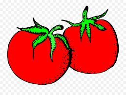 We did not find results for: Tomato Fruit Drawing Food Graphic Arts Gambar Sayuran Hitam Putih Png Tomato Plant Png Free Transparent Png Images Pngaaa Com