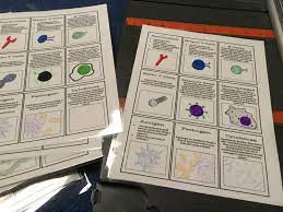Hope you like!where to bu. Biology By The Math Mom Immune System Trading Cards