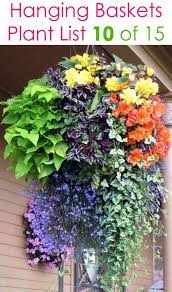 Although you can buy preplanted baskets, it is somewhat last but not least are the trailing flowers. 15 Beautiful Flower Hanging Baskets Best Plant Lists A Piece Of Rainbow