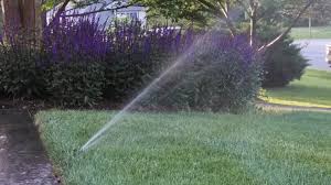 Some sprinklers have arms that can turn the flow of water intermittently. A Sprinkler System Can Help The Grass Beat The Heat But It Requires An Investment The Washington Post