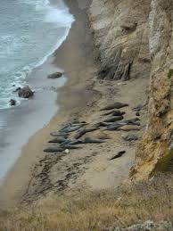 We did not find results for: Chimney Rock Trail Point Reyes Bild Von Point Reyes Hiking Trails Point Reyes National Seashore Tripadvisor