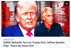And now MAGA has been told to stop talking about Epstein!! 🤮🤣