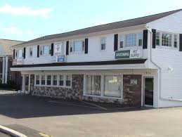 Welcome to all pets veterinary centre. All Pets Vet Hospital Branchburg Nj 08876 68 Agreatertown