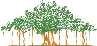 Banyan Tree Jpg 1 212 583 Pixels Tree Drawing For Kids Tree Art Tree Sketches