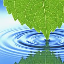 We did not find results for: House Of Kung Fu Home Facebook