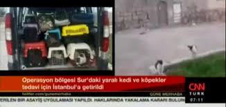 Basinda Haytap Kurumsal Haytap Hayvan Haklari Federasyonu