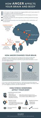 Data Chart Anger Is A Normal Emotion But It Can Have A