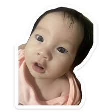 Chris Padilla (@chrisxpadilla) • Instagram photos and videos