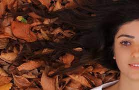 Durante i cambi di stagione la caduta del capelli è un fenomeno molto comune. Caduta Dei Capelli In Autunno Perche Succede Shophair
