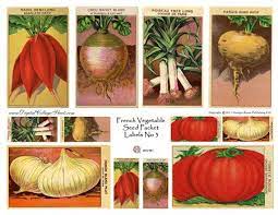 Vegetable Seed French Vegetables Vegetable Seeds Packets
