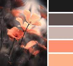 Apricot Taupe Apricot Streichen Taupe Farbpalette Grau Farbkombination Farbinspiration