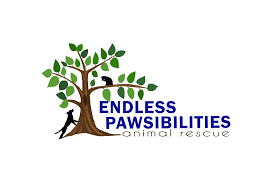 Adore (animals deserving of rescue everywhere, inc )has been. Adore Pet Rescue Home Facebook