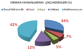 Check spelling or type a new query. Https Www Ormancilardernegi Org Dosyalar Files Itfaiyeciler Icin Orman Yanginlari Web Pdf
