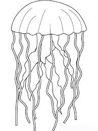 These colors occur naturally in nature and are on the light spectrum, so no color combine to make blue. Jellyfish 20523 Animals Printable Coloring Pages