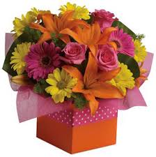 For a round or square container, you will plant them in an equilateral triangle within the container (below, middle) and if it is an oblong or rectangular container you will likely plant them in a row (below, right), Arrangement Vs Bouquet Bloomin Flowers