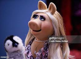 128 Kelsey Bird Photos & High Res Pictures