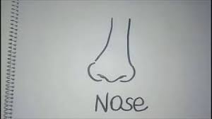 More images for how do you draw a nose for beginners » How To Draw A Nose For Kids Easy Youtube