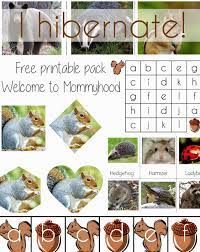 Welcome To Mommyhood I Hibernate Printables And Activities Preschool Science Activities Preschool Activities Montessori Activities