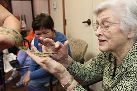 Happy Tails to you — with animals