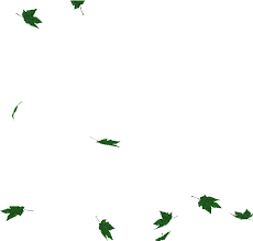 With tenor, maker of gif keyboard, add popular leaves falling animated gifs to your conversations. Download Coins Falling Png Gif Svg Black And White Stock Green Leaves Falling Gif Full Size Png Image Pngkit