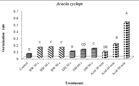 Image result for Acacia pilispina