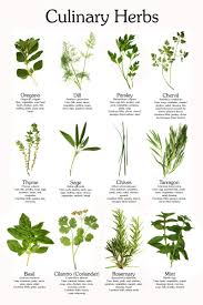 16 Rational Culinary Herb Chart