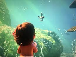 Finding nemo is a well known movie from my childhood, i only got interested in the ninja turtles the turtles' mission is knocked off course by an unexpected delay. Headcannon Crush From Finding Nemo Appears In Moana Disney