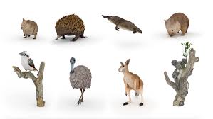 We have also seen them on the news as many of these precious animals. Google Lets You Get Up Close And Personal With Australian Animals In New Film From Emotive Lbbonline