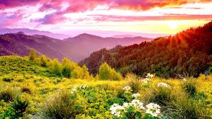 Природа Адыгеи, ее большое разнообразие и богатство