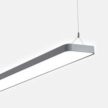 The police officers were suspended without pay for their conduct. Caleo Suspended G1 P1