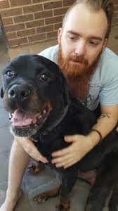 Ahh, this dog show is curing me like a black forest ham.