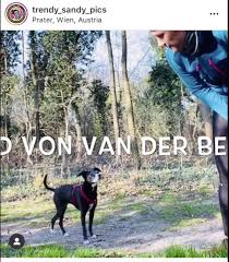 Born 18 january 1944) is the current president of austria. Herbststrasse Juli Hund Von Unserem Herrn Bundesprasident Alexander Van Der Bellen Crasht Workout Video Der Herbststrasse Facebook