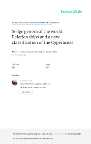 Image result for Kyllingiella microcephala