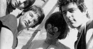 Big Sixties Music Blog: The Shame