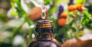 aromatic blending of essential oils aromaweb