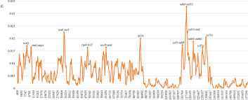 Image result for Sium repandum