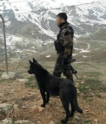 Polis Ozel Harekat Ve Kurt Askeri Ekipmanlar Ordu Askeri